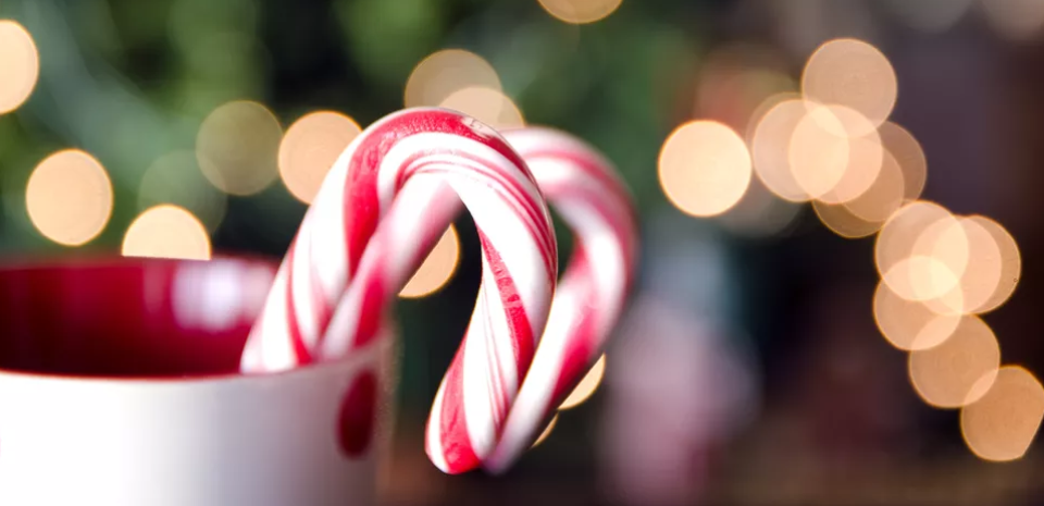 How to Make Homemade Candy Canes