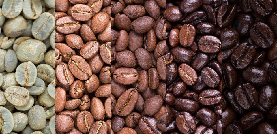 Light, Medium, Dark Roast: What's the Difference?