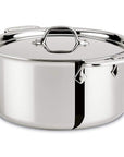 All-Clad Stainless Stockpot with Lid - Discover Gourmet