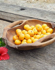 Dora Teak Serving Bowl with Integral Handles