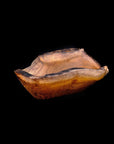 Dorito Small Teak Bowl