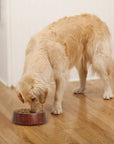 Mahogany Dog Bowl - Small