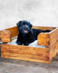 Rico & Plato Max Wooden Pet Bed with Cushion