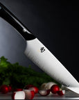 Shun Narukami Chef's Knife