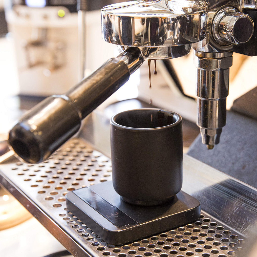 Matte White Monty Cortado Cup, Fellow Coffee Equipment